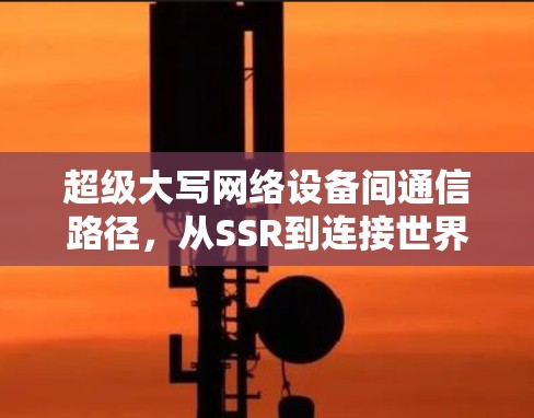 超级大写网络设备间通信路径,从SSR到连接世界的关键路径 超级大写网络设备间通信路径,从SSR到连接世界的关键路径