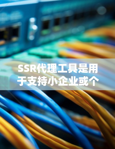 SSR代理工具是用于支持小企业或个人进行合法收入的小规模业务（SSR）的工具。这些工具通常用于销售、数据分析、订单管理等环节。以下是关于SSR代理工具的详细总结