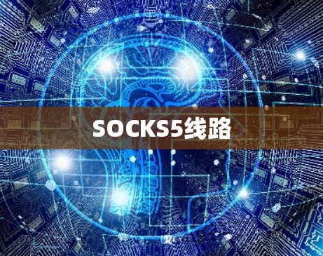 SOCKS5线路 SOCKS5线路