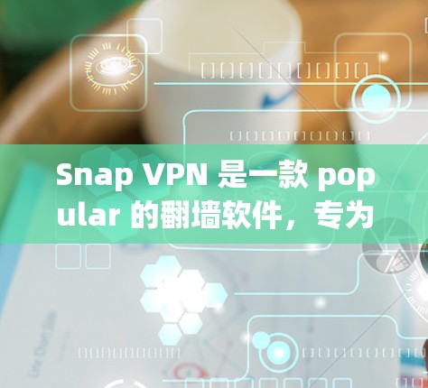 Snap VPN 是一款 popular 的翻墙软件，专为需要访问国内互联网的用户设计。它提供了一种安全、便捷的网络访问方式。以下是一些推荐的 Snap VPN 系统及其特点
