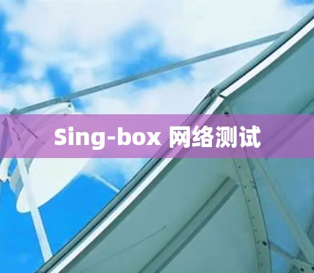 Sing-box 网络测试 Sing-box 网络测试