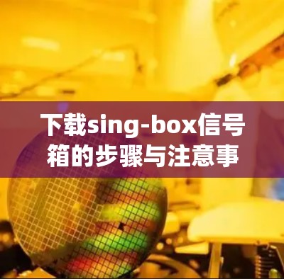 下载sing-box信号箱的步骤与注意事项 下载sing-box信号箱的步骤与注意事项