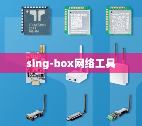 sing-box网络工具 sing-box网络工具
