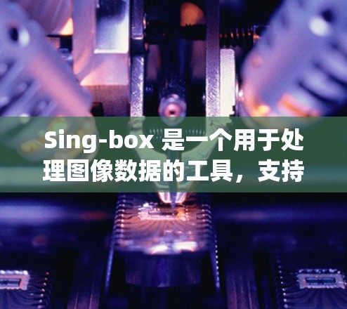 Sing-box 是一个用于处理图像数据的工具,支持参数化,以便在训练过程中灵活调整模型参数以优化性能。以下是Sing-box 参数化部分的详细说明和步骤指南 Sing-box 是一个用于处理图像数据的工具,支持参数化,以便在训练过程中灵活调整模型参数以优化性能。以下是Sing-box 参数化部分的详细说明和步骤指南