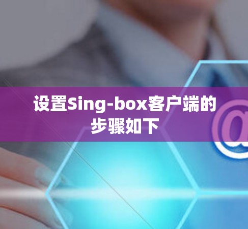 设置Sing-box客户端的步骤如下 设置Sing-box客户端的步骤如下