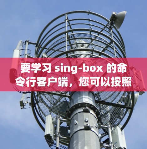 要学习 sing-box 的命令行客户端,您可以按照以下步骤进行 要学习 sing-box 的命令行客户端,您可以按照以下步骤进行