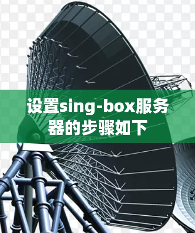 设置sing-box服务器的步骤如下