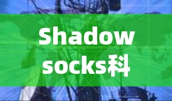 Shadowsocks科学上网是基于加密技术的VPN服务,提供了一个安全和高效的VPN体验。如果你对如何设置Shadowsocks的VPN配置感兴趣,以下是详细的步骤和信息 Shadowsocks科学上网是基于加密技术的VPN服务,提供了一个安全和高效的VPN体验。如果你对如何设置Shadowsocks的VPN配置感兴趣,以下是详细的步骤和信息