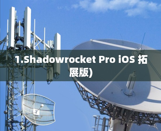1.Shadowrocket Pro iOS 拓展版) 1.Shadowrocket Pro iOS 拓展版)