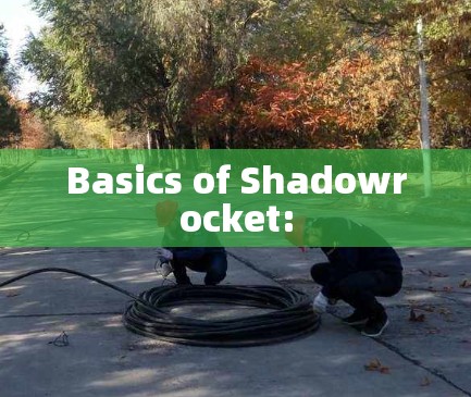 Basics of Shadowrocket: Basics of Shadowrocket: