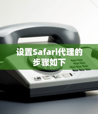 设置Safari代理的步骤如下 设置Safari代理的步骤如下