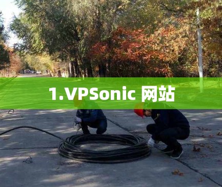 1.VPSonic 网站 1.VPSonic 网站