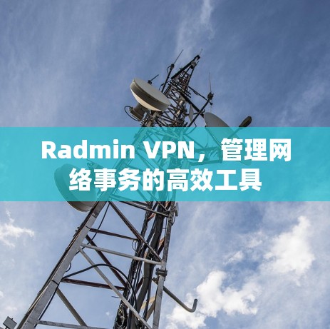 Radmin VPN,管理网络事务的高效工具 Radmin VPN,管理网络事务的高效工具