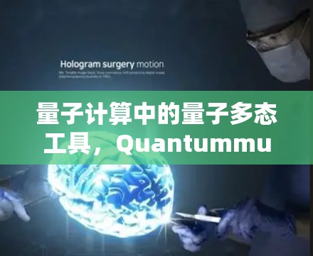 量子计算中的量子多态工具,Quantummult X 量子计算中的量子多态工具,Quantummult X