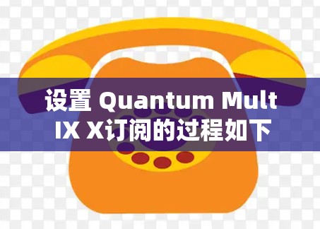 设置 Quantum Mult IX X订阅的过程如下 设置 Quantum Mult IX X订阅的过程如下
