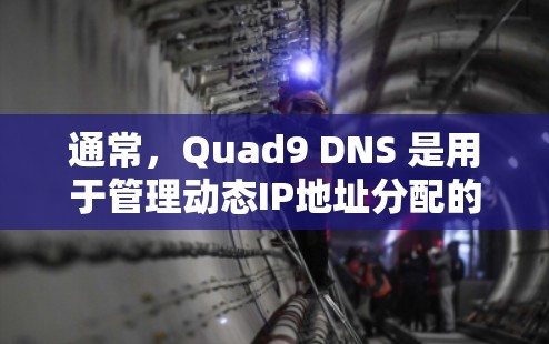 通常，Quad9 DNS 是用于管理动态IP地址分配的工具，适用于网站、服务器等资源。以下是使用Quad9 DNS 的基本步骤