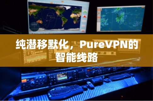 纯潜移默化,PureVPN的智能线路 纯潜移默化,PureVPN的智能线路