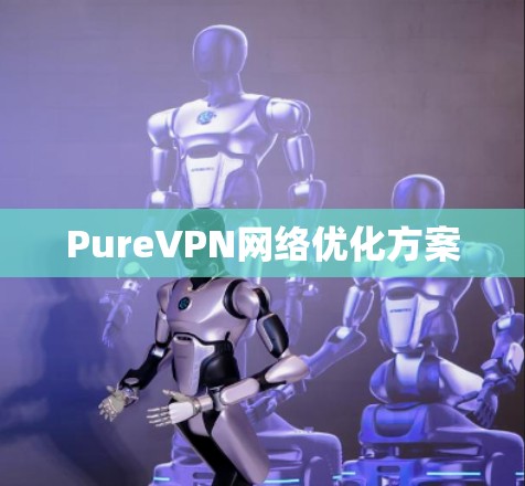PureVPN网络优化方案