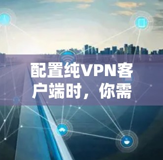 配置纯VPN客户端时,你需要根据你的网络环境和需求进行设置。以下是一些基本的配置步骤和注意事项 配置纯VPN客户端时,你需要根据你的网络环境和需求进行设置。以下是一些基本的配置步骤和注意事项