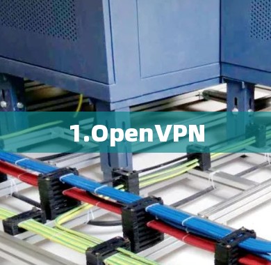 1.OpenVPN 1.OpenVPN
