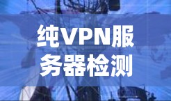 纯VPN服务器检测是确保网络安全的重要步骤,主要通过以下方法实现 纯VPN服务器检测是确保网络安全的重要步骤,主要通过以下方法实现