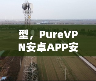 型，PureVPN安卓APP安装