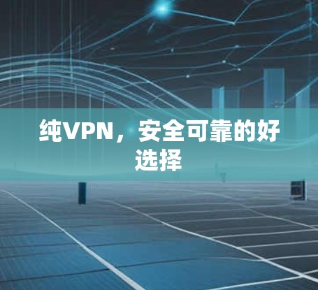 纯VPN，安全可靠的好选择
