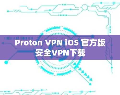 Proton VPN iOS 官方版安全VPN下载