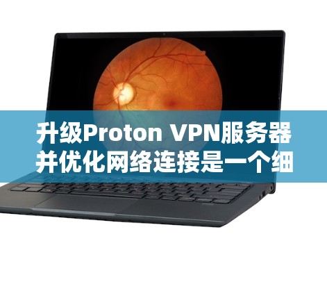 升级Proton VPN服务器并优化网络连接是一个细致且复杂的任务，但可以按照以下步骤进行