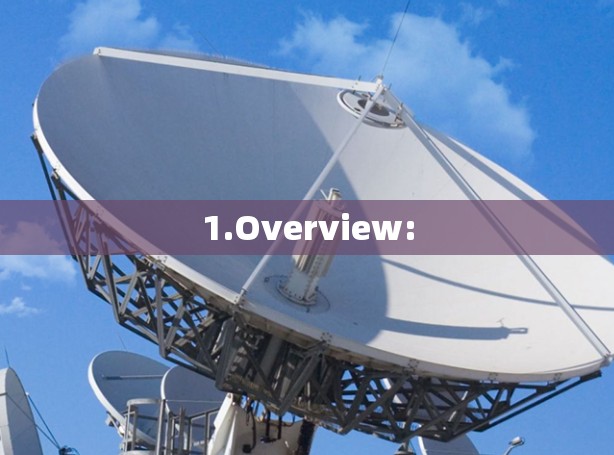 1.Overview: 1.Overview: