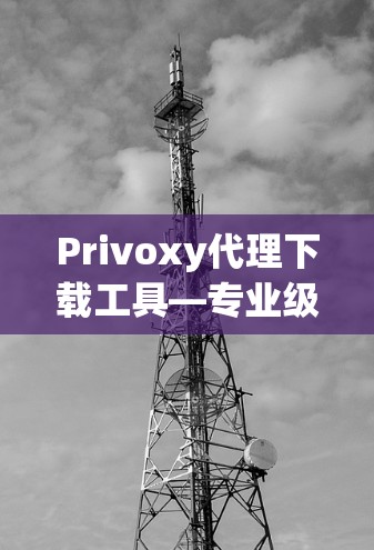 Privoxy代理下载工具—专业级下载服务推荐