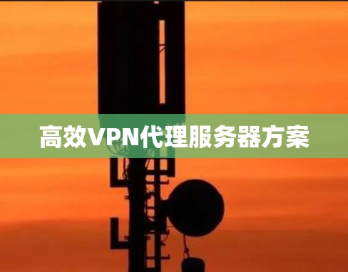 高效VPN代理服务器方案 高效VPN代理服务器方案