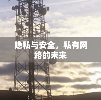 隐私与安全,私有网络的未来 隐私与安全,私有网络的未来