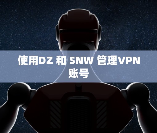 使用DZ 和 SNW 管理VPN账号