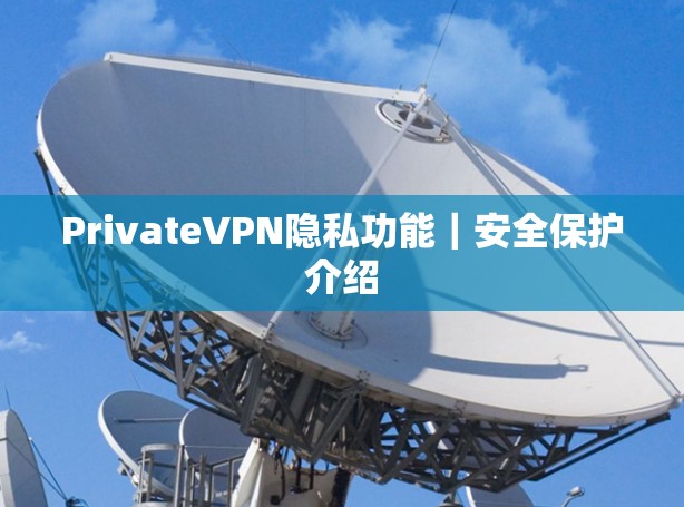 PrivateVPN隐私功能｜安全保护介绍