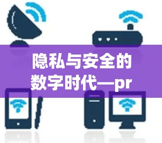 隐私与安全的数字时代—privacy and security in the digital age