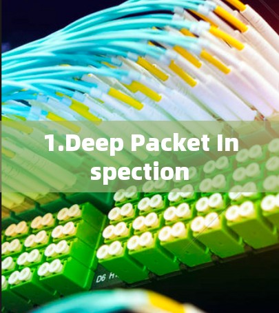 1.Deep Packet Inspection