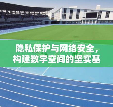 隐私保护与网络安全,构建数字空间的坚实基础 隐私保护与网络安全,构建数字空间的坚实基础