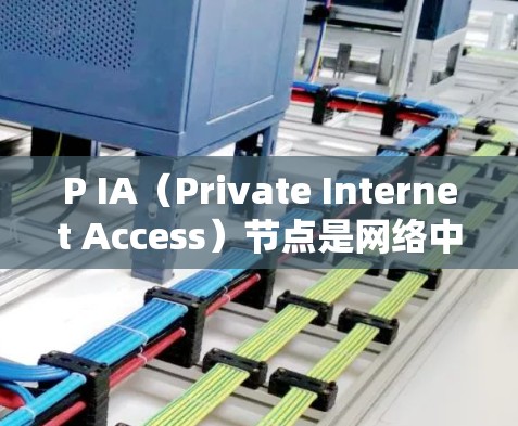 P IA(Private Internet Access)节点是网络中控制本地私有网络与外部互联网连接的核心节点。以下是关于P IA节点管理的关键点和步骤 P IA(Private Internet Access)节点是网络中控制本地私有网络与外部互联网连接的核心节点。以下是关于P IA节点管理的关键点和步骤