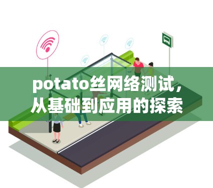 potato丝网络测试,从基础到应用的探索 potato丝网络测试,从基础到应用的探索