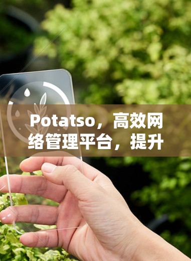 Potatso,高效网络管理平台,提升数据传输效率 Potatso,高效网络管理平台,提升数据传输效率