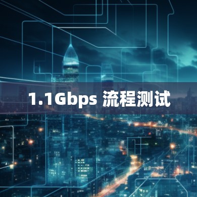 1.1Gbps 流程测试 1.1Gbps 流程测试