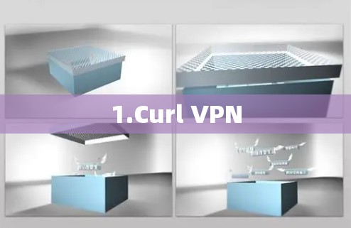 1.Curl VPN 1.Curl VPN