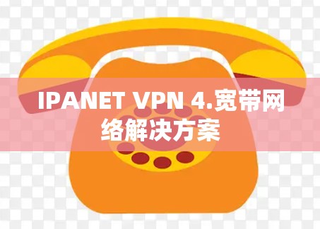 IPANET VPN 4.宽带网络解决方案 IPANET VPN 4.宽带网络解决方案