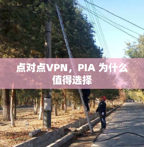 点对点VPN,PIA 为什么值得选择 点对点VPN,PIA 为什么值得选择