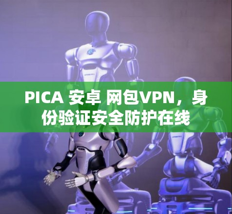 PICA 安卓 网包VPN,身份验证安全防护在线 PICA 安卓 网包VPN,身份验证安全防护在线