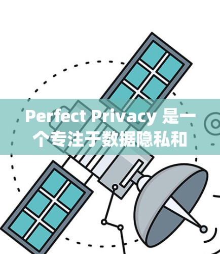 Perfect Privacy 是一个专注于数据隐私和安全的工具,旨在帮助用户构建更安全、更透明的数据生态系统。以下是对 Perfect Privacy 使用指南的详细说明 Perfect Privacy 是一个专注于数据隐私和安全的工具,旨在帮助用户构建更安全、更透明的数据生态系统。以下是对 Perfect Privacy 使用指南的详细说明