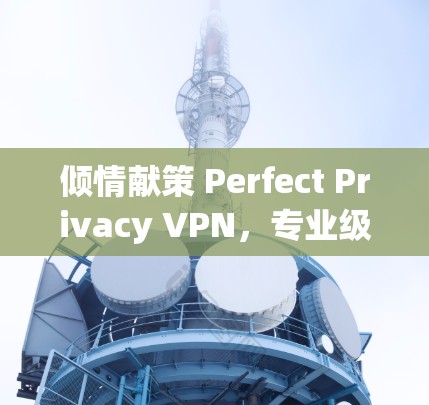 倾情献策 Perfect Privacy VPN,专业级网络管理解决方案 倾情献策 Perfect Privacy VPN,专业级网络管理解决方案
