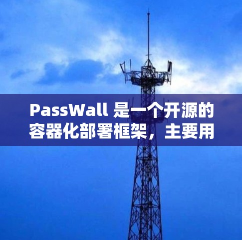 PassWall 是一个开源的容器化部署框架，主要用于简化容器化的应用部署和管理。以下是对 PassWall 节点配置的详细说明