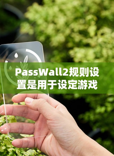 PassWall2规则设置是用于设定游戏规则的机制，通常涉及多个规则类型，如技能、属性、行为等。以下是对PassWall2规则设置的详细解析